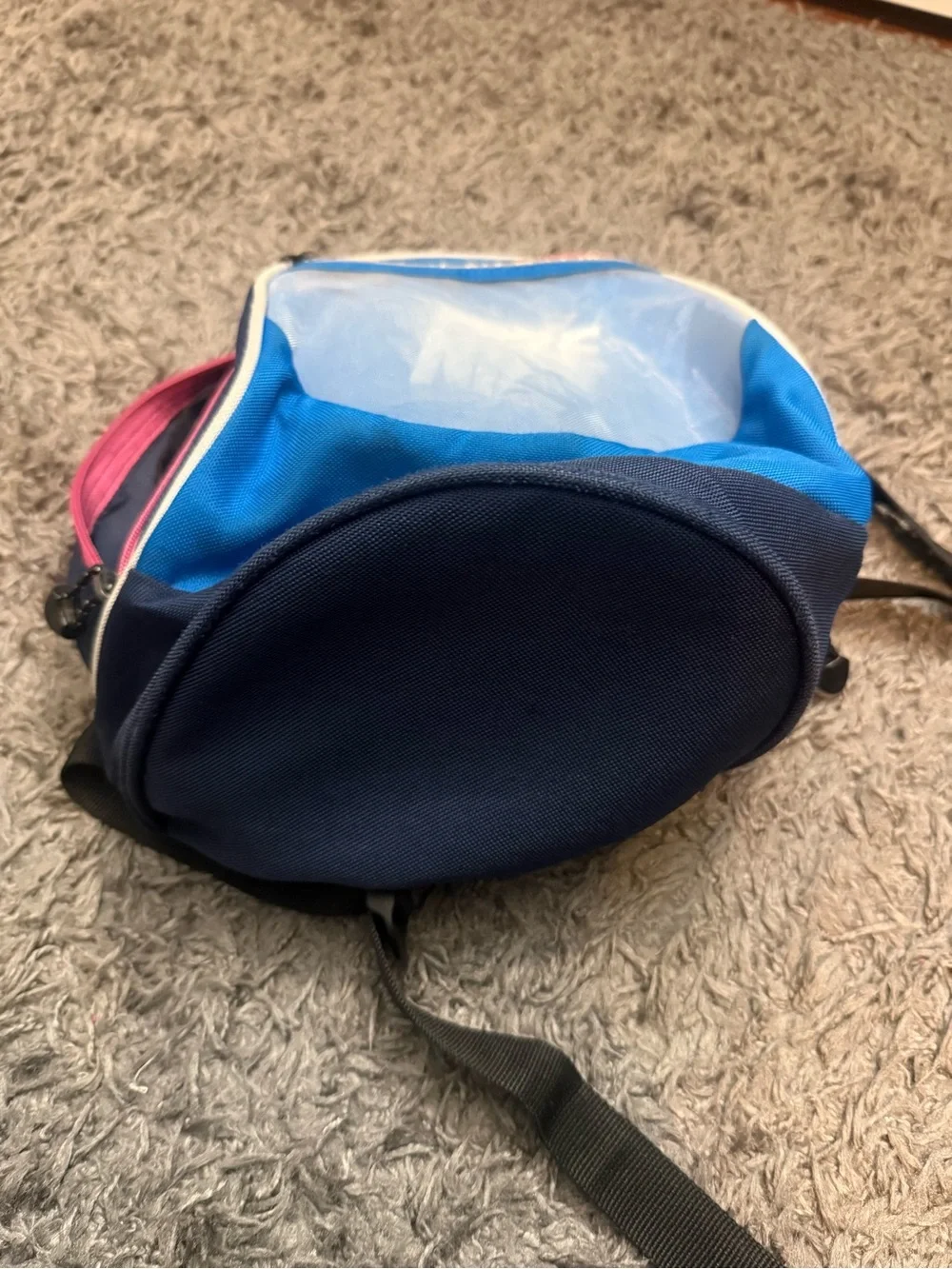 Nike Blue and Pink Women’s mini Backpack